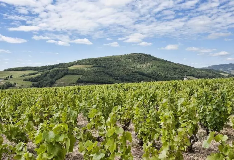 فندق Hôtel Des Vignes