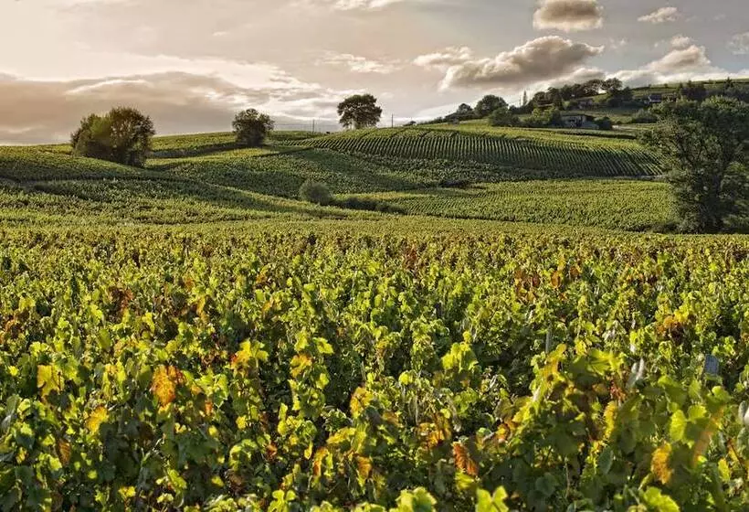 فندق Hôtel Des Vignes