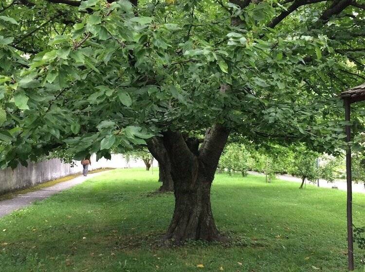 فندق Hôtellerie Franciscaine