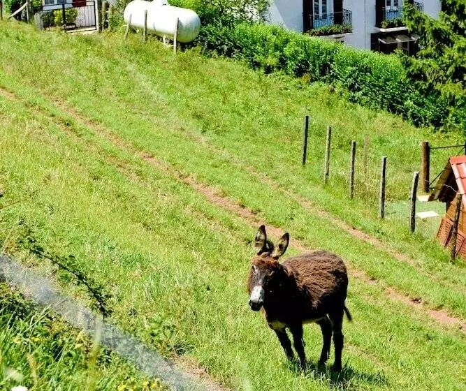 فندق Les Sources De La Nive