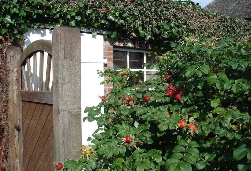 호텔 Tetens Gasthof