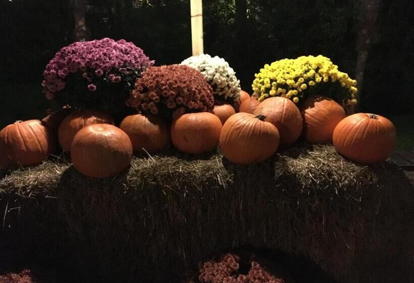 בית מלון כפרי Vela Azzurra