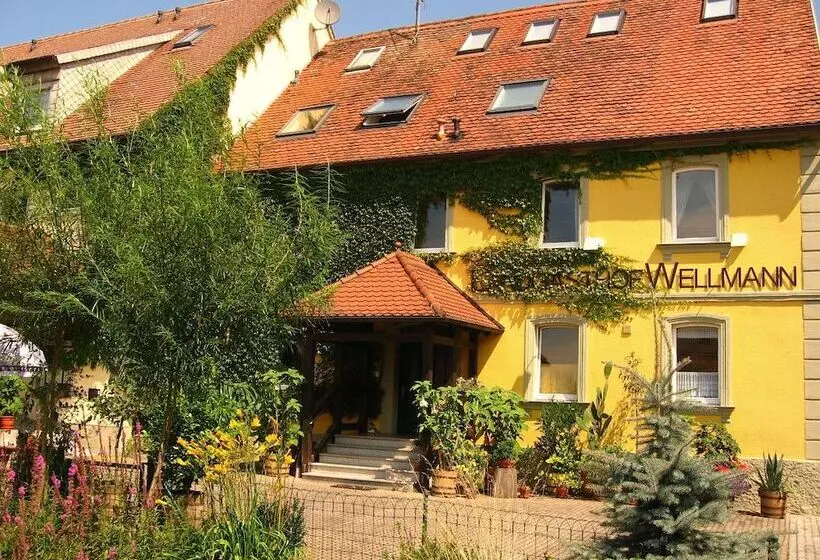Пансион Landgasthof Wellmann