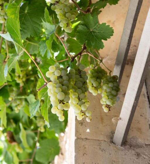 צימר La Ferme De Planchevienne