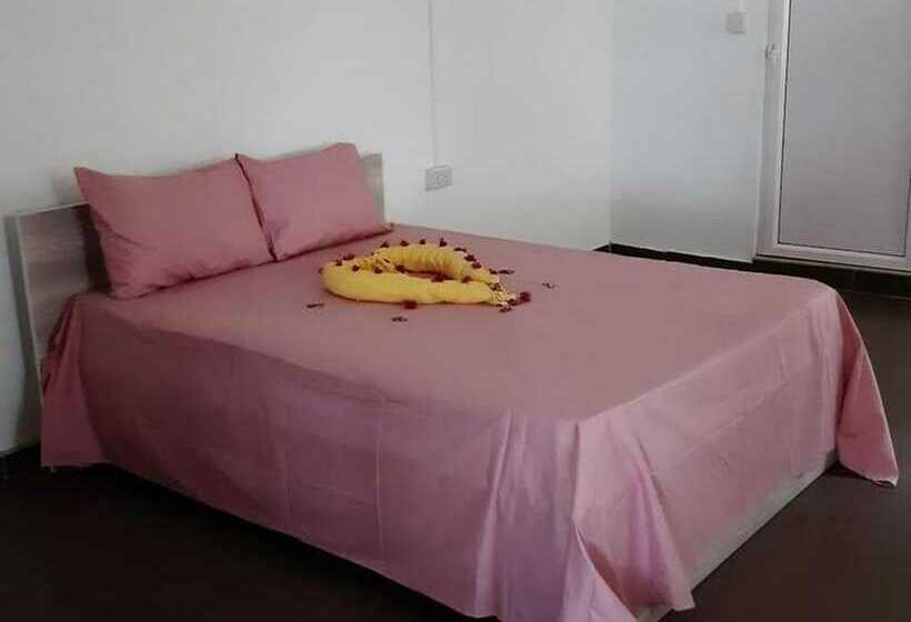 تختخواب و صبحانه A Single Room In A Nice Palais