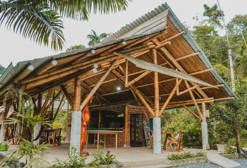 Общежитие Finca Las Palmas Ecolodge