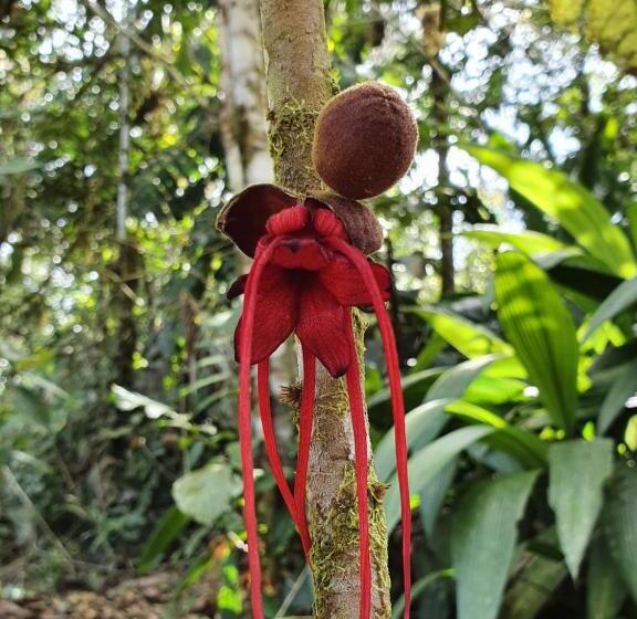 Общежитие Finca Las Palmas Ecolodge