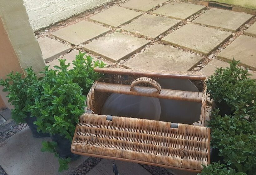 Bed and Breakfast Since 2006 African Silhouette Offers Safe, Tranquil And Highly Recommended Stays