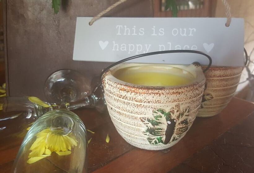 Bed and Breakfast Since 2006 African Silhouette Offers Safe, Tranquil And Highly Recommended Stays