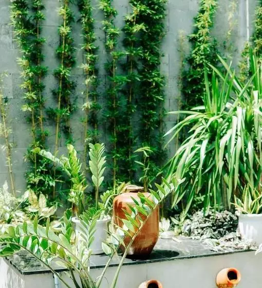 پانسیون Chi Homestay #3