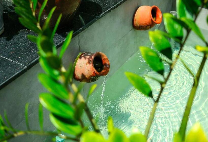 پانسیون Chi Homestay #3