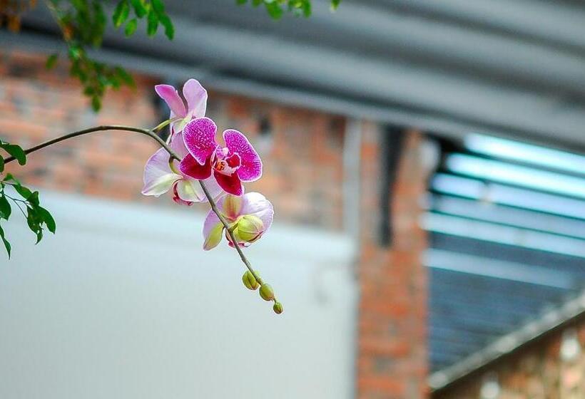 پانسیون Chi Homestay #3