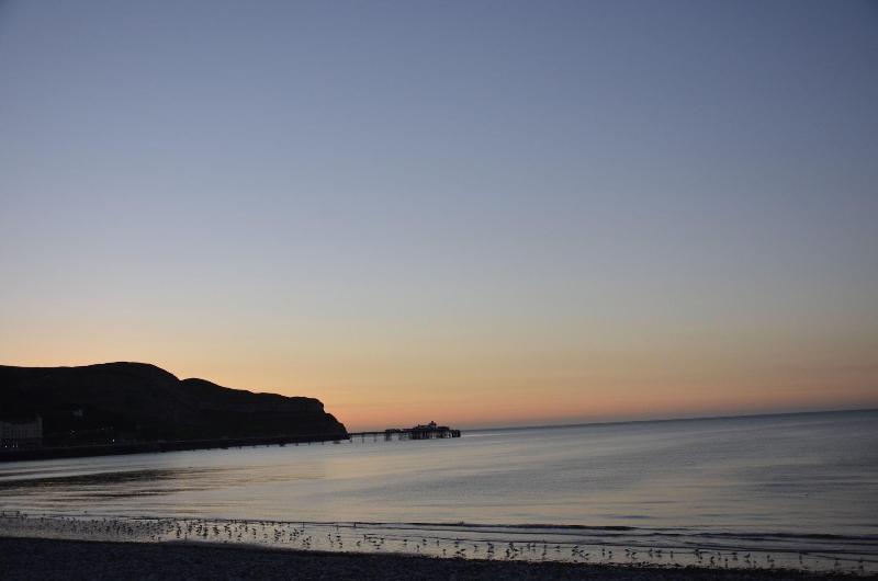 בית מלון כפרי The Cae Mor