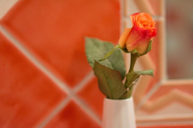 Casa Rustica   Eintrittskarten Für Den Europapark Erhalten Sie Garantiert über Uns!