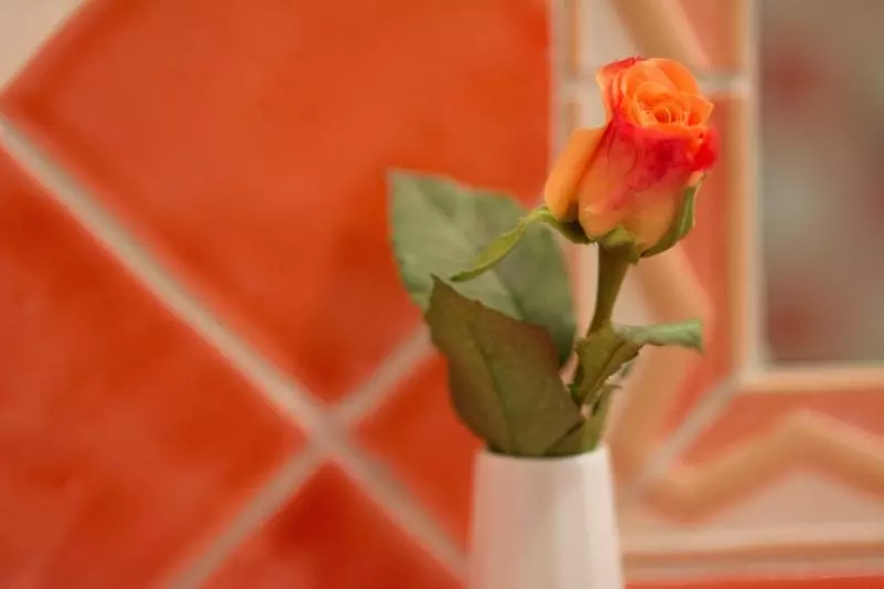 Casa Rustica   Eintrittskarten Für Den Europapark Erhalten Sie Garantiert über Uns!