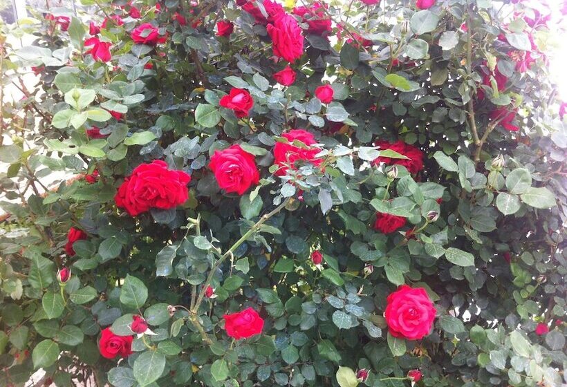 בית מלון כפרי Atamer Doga Resort