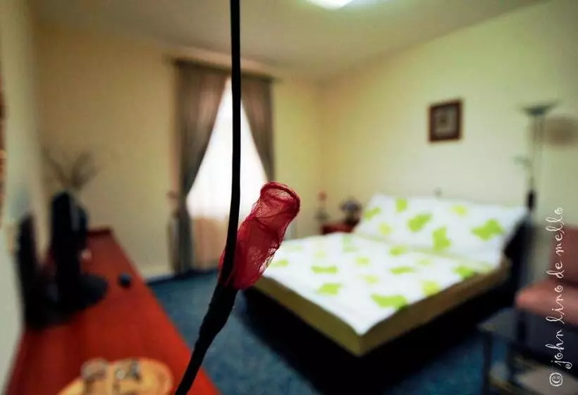 Отель Buda Panzió