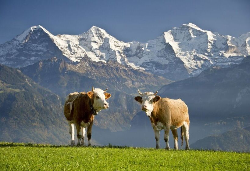 هتل Fassbind Beausite