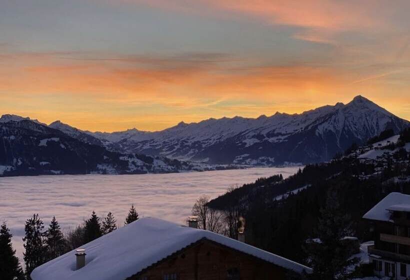 هتل Fassbind Beausite