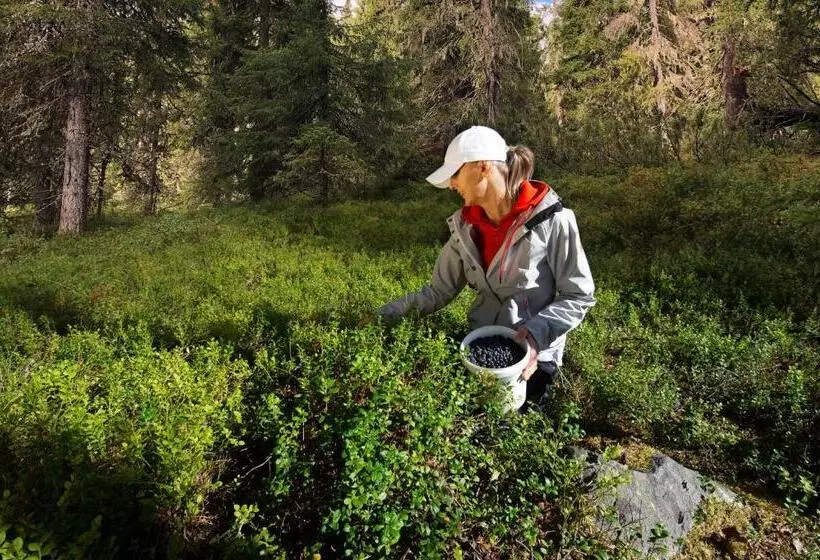 בית מלון כפרי Isosyote