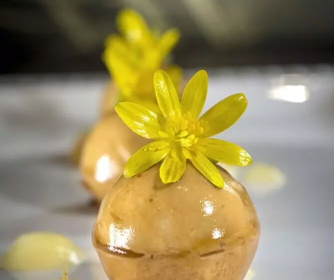 Отель Hôtel Restaurant Les 2 Rives   Logis Hôtels