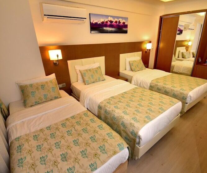 בית מלון כפרי Yeniceri City