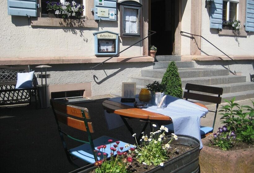 بنسيون Goldener Adler Oberried   Hotel & Appartements