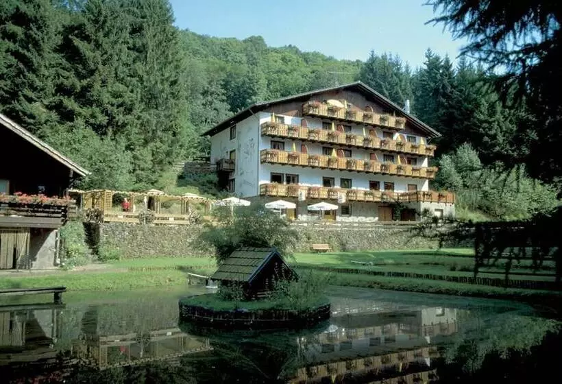 Wolffhotel