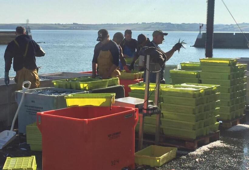 Appartement Design Ii   Port Du Rosmeur  Douarnenez