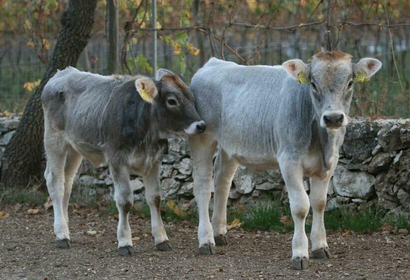 ホテル Agriturismo Amicizia