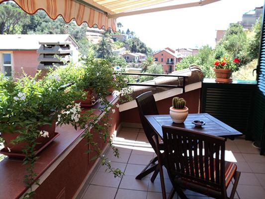 פנסיון Marvit Affittacamere