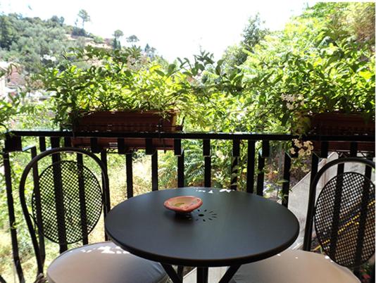 פנסיון Marvit Affittacamere