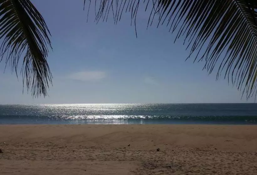 هتل Etnico Surf Resort