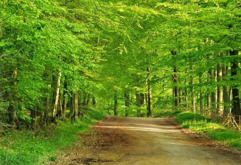 Отель Am Kurpark