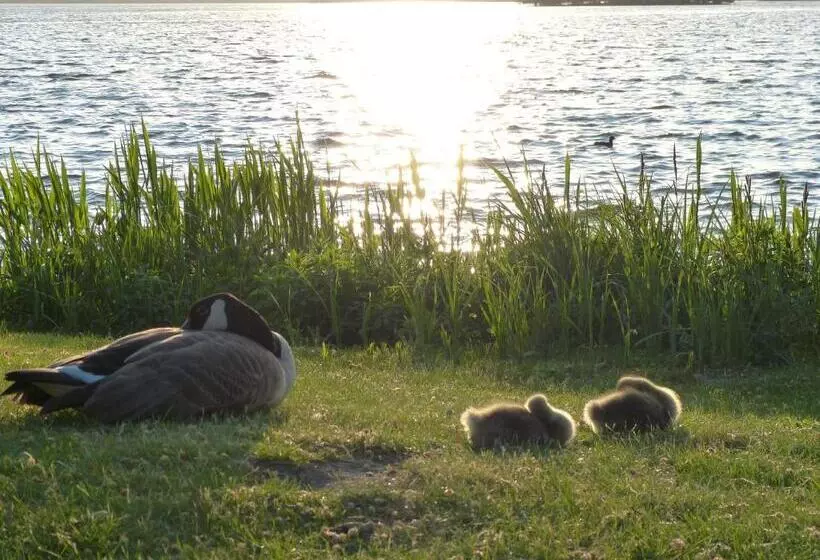Отель Am Kurpark