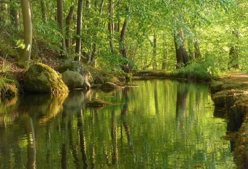 Отель Am Kurpark