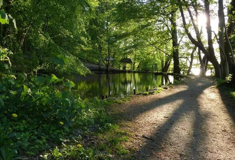 Отель Am Kurpark