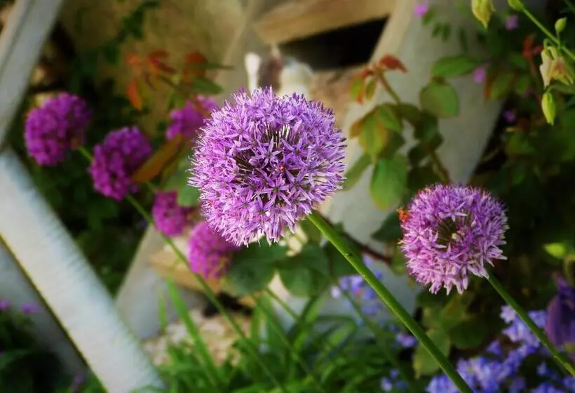 Отель Am Kurpark