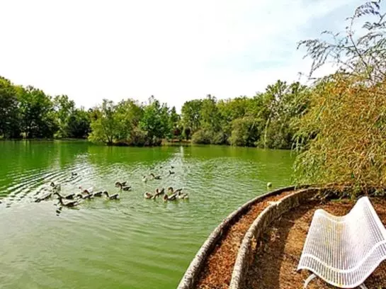 酒店 Auberge de L'Étang Bleu