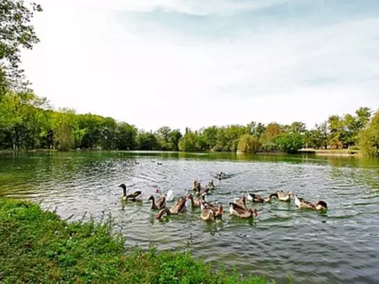 酒店 Auberge de L'Étang Bleu