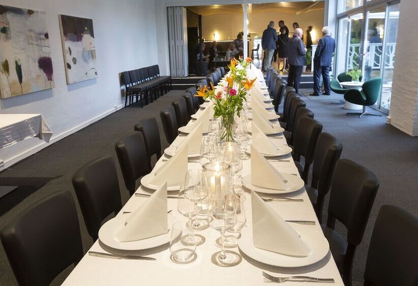 Dolphin Hotel Herning