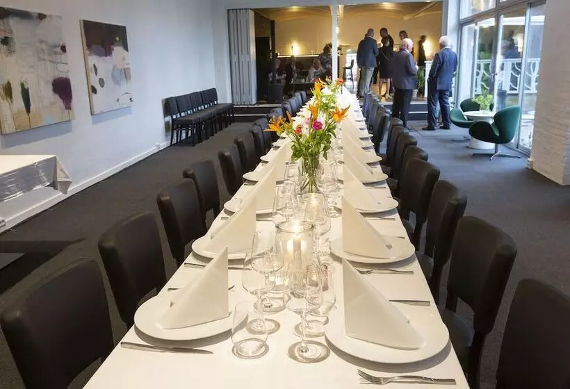 Dolphin Hotel Herning