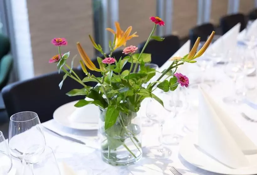 Dolphin Hotel Herning
