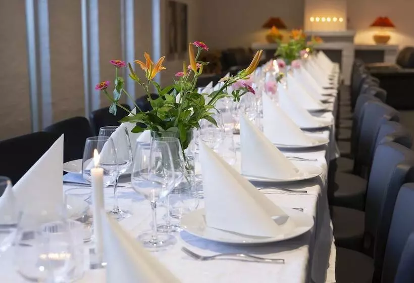 Dolphin Hotel Herning