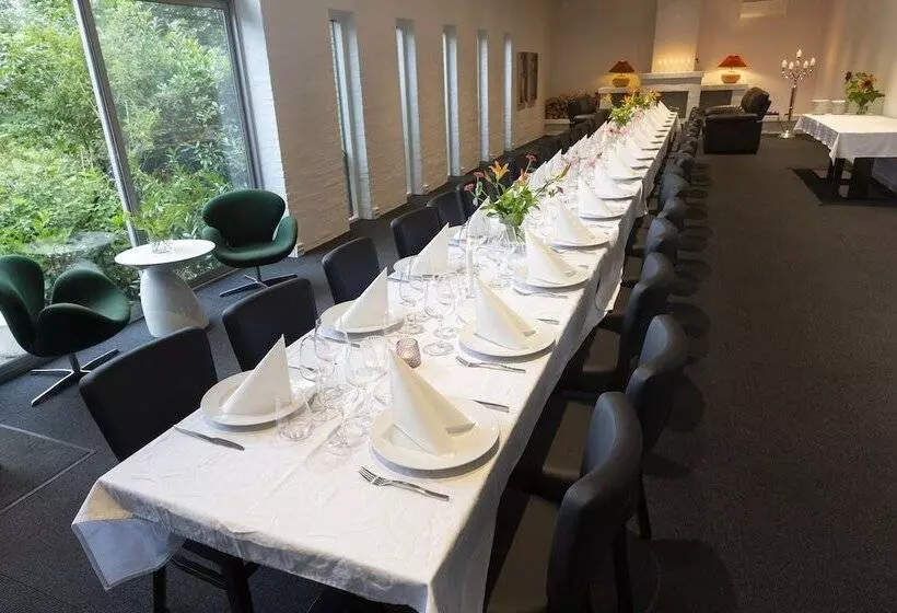 Dolphin Hotel Herning