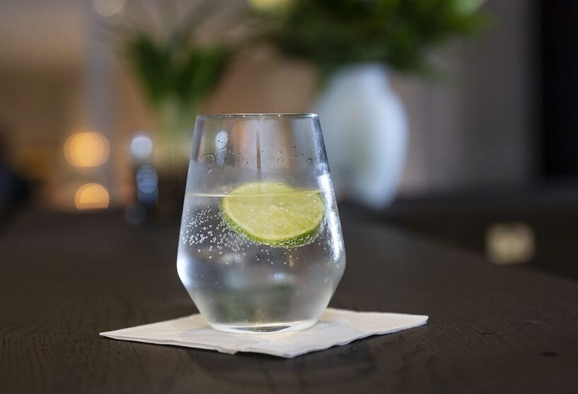 Dolphin Hotel Herning