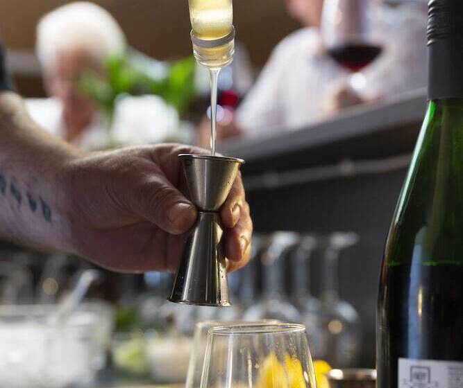 Dolphin Hotel Herning