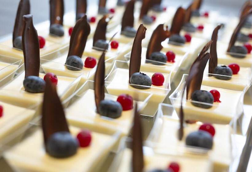 Dolphin Hotel Herning