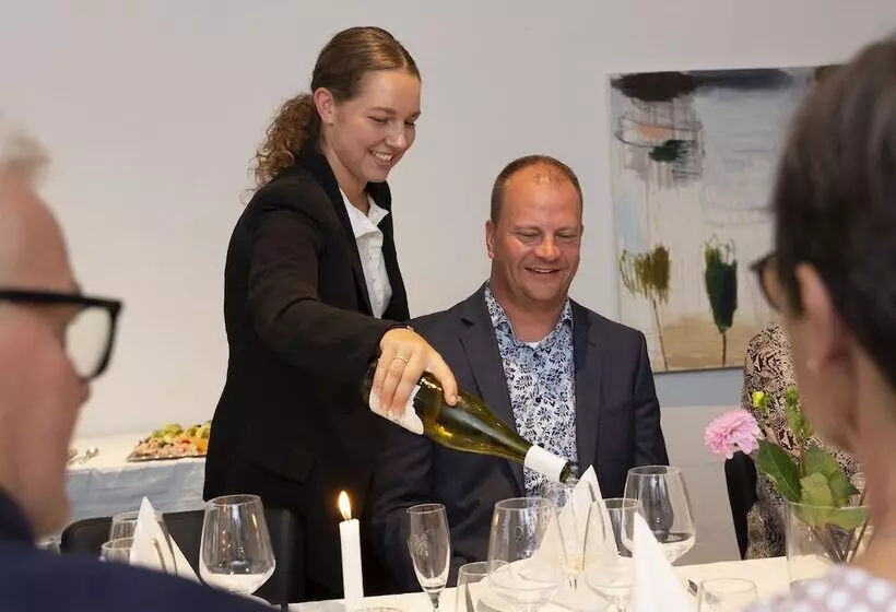 Dolphin Hotel Herning