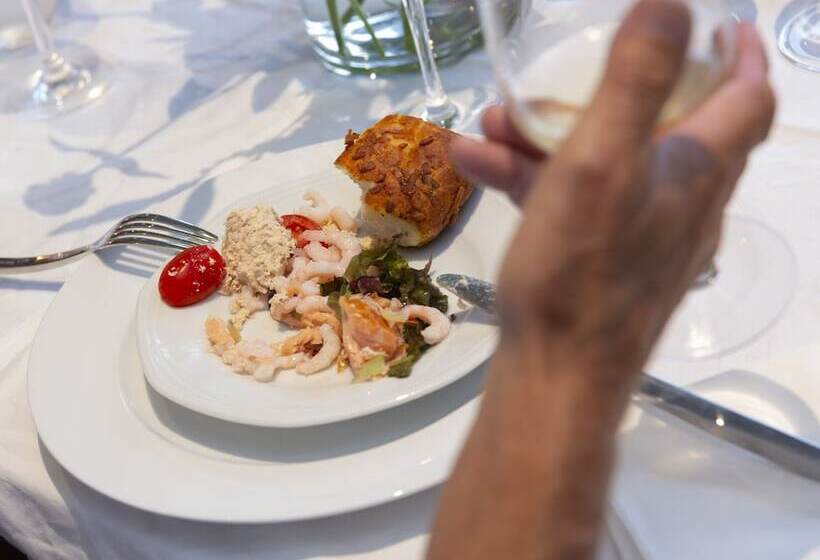 Dolphin Hotel Herning